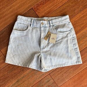 Striped Denim Shorts